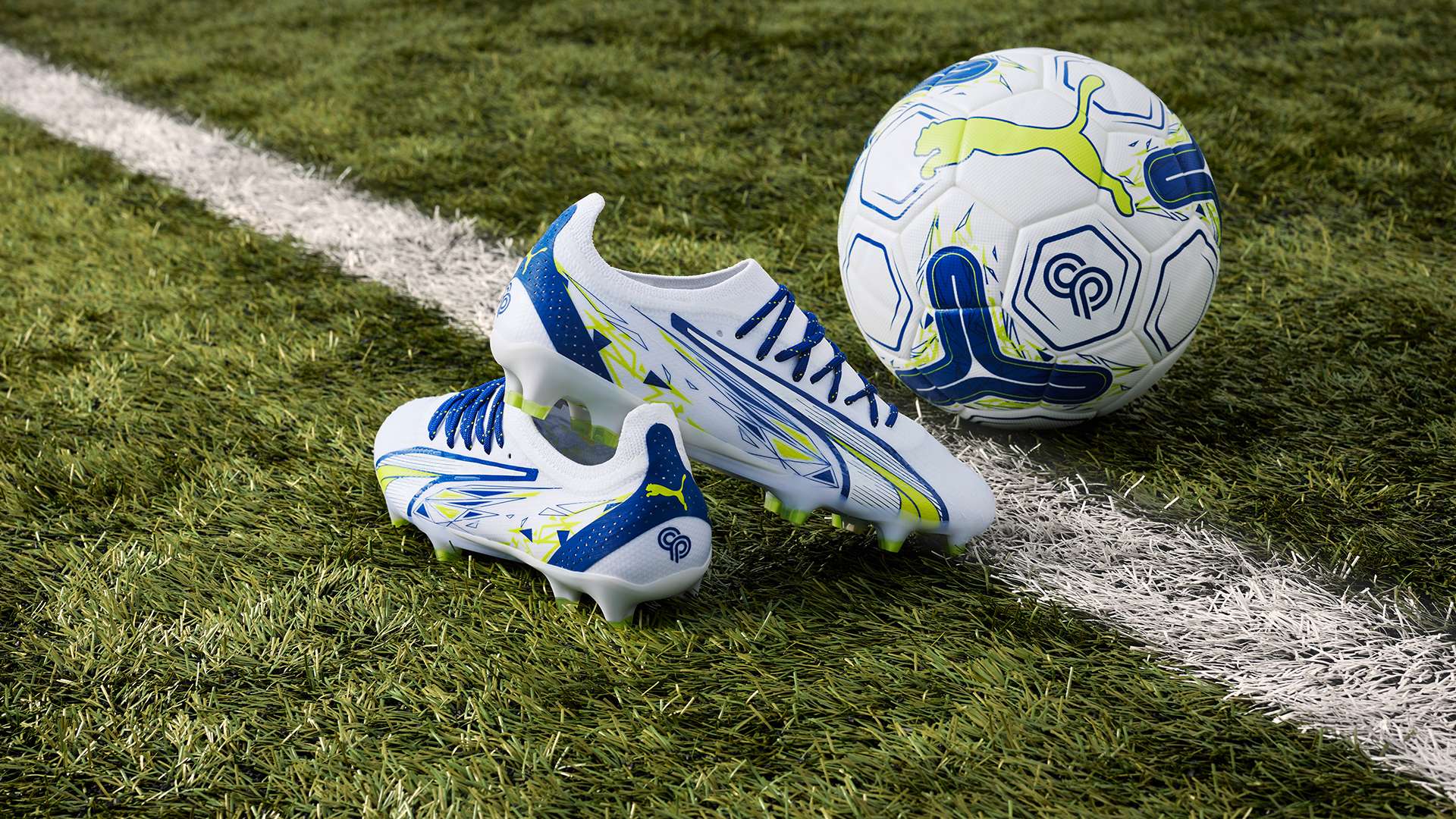 积极寻求向 积极寻求向